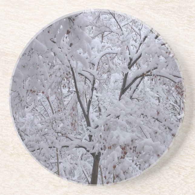 Snow-Laden Trees Coaster (Front)