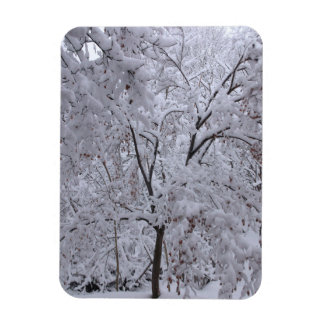 Snow-Laden Trees Magnet