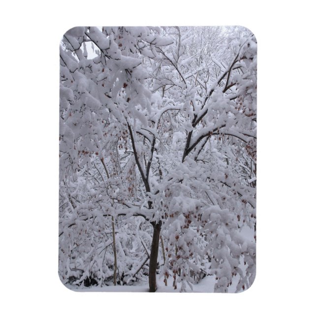 Snow-Laden Trees Magnet (Vertical)