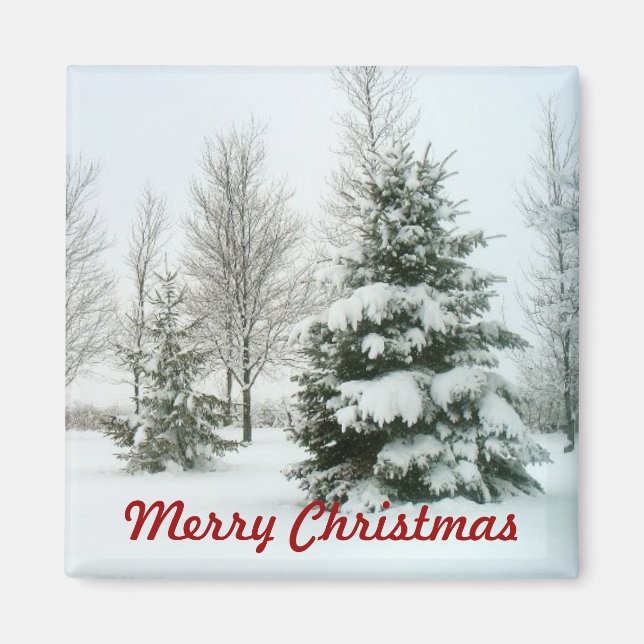Snow-Laden Trees, Merry Christmas Magnet (Front)