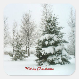 Snow-Laden Trees, Merry Christmas  Square Sticker