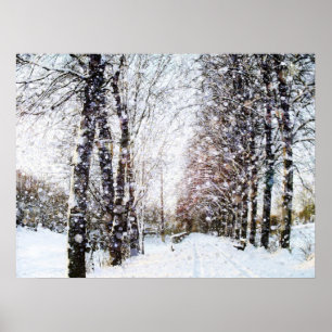 Snow Landscape Poster