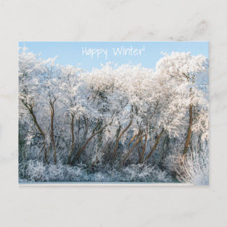 Snow Landscape Winter Photo Postcard