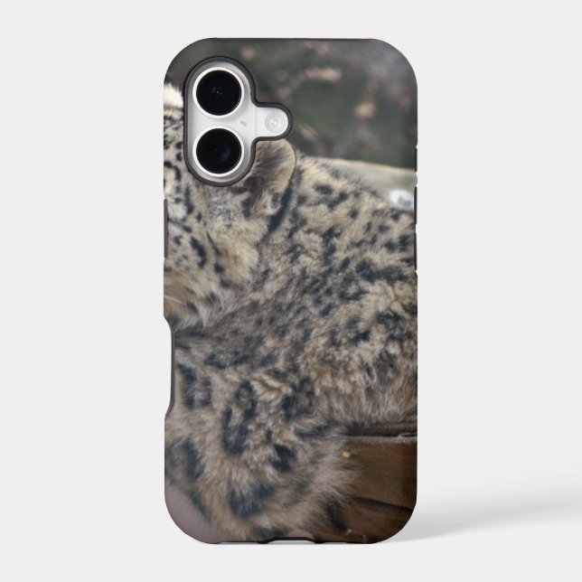 Snow Leopard (Back)