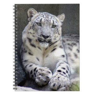 snow leopard 27 spiral notebook