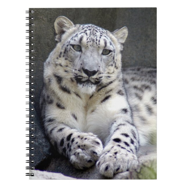 snow leopard 27 spiral notebook (Front)