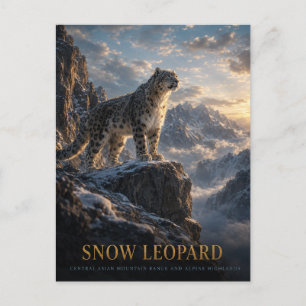 Snow Leopard Alpine Highlands ANIMALS Postcard