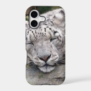 Snow Leopard - beautiful!