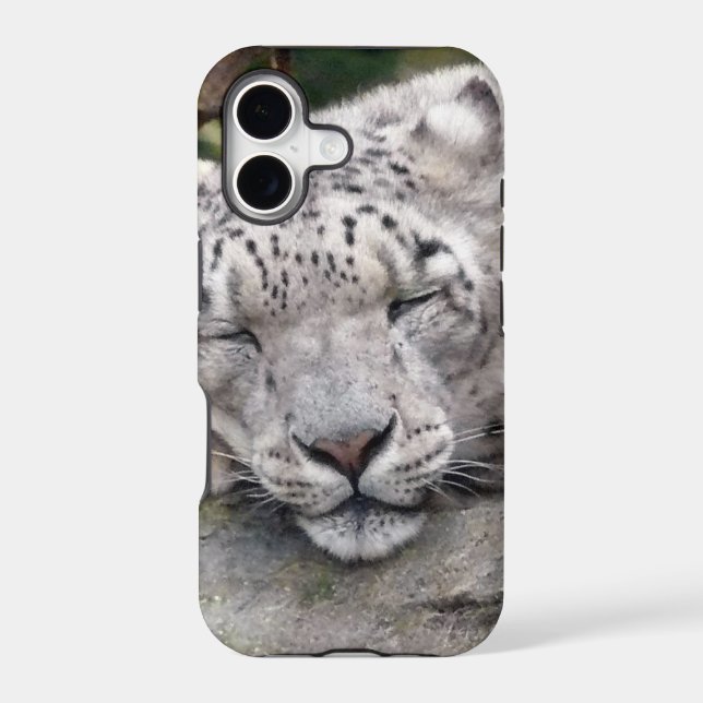 Snow Leopard - beautiful! (Back)