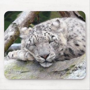 Snow Leopard - beautiful! Mouse Pad