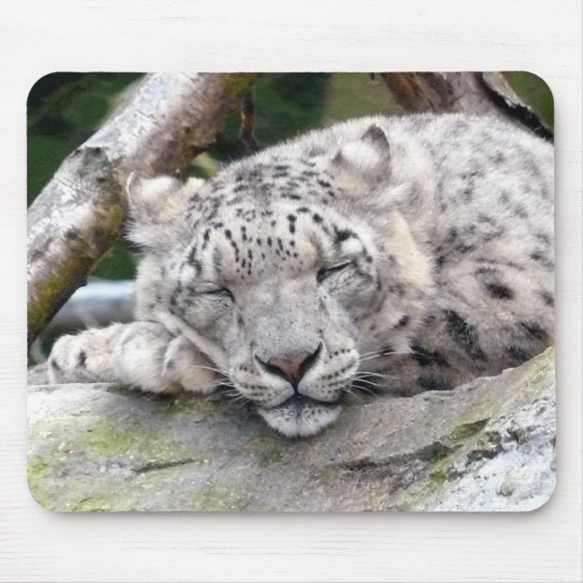 Snow Leopard - beautiful! Mouse Pad (Front)