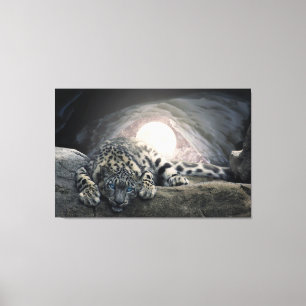 Snow Leopard Canvas Print