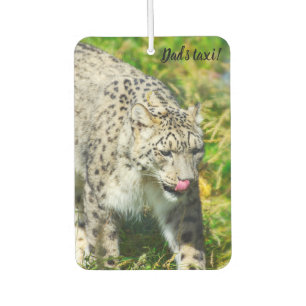 Snow Leopard Car air freshener