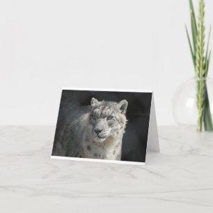Snow Leopard Card
