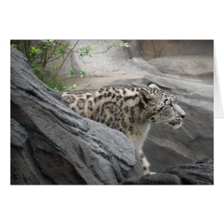Snow Leopard Card