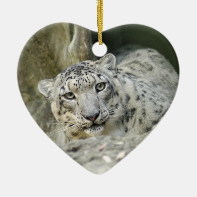 Snow Leopard Christmas Ornament (Front)