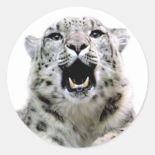 Snow Leopard Classic Round Sticker