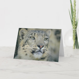 Snow Leopard Close Up Card