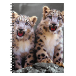 Snow Leopard Cubs Spiral Notebook