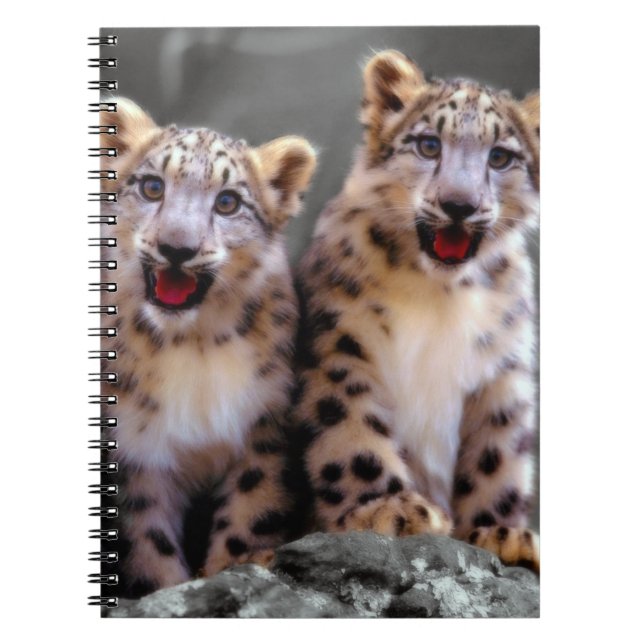 Snow Leopard Cubs Spiral Notebook (Front)