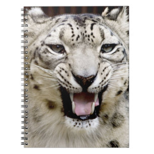 Snow Leopard Face Spiral Notebook