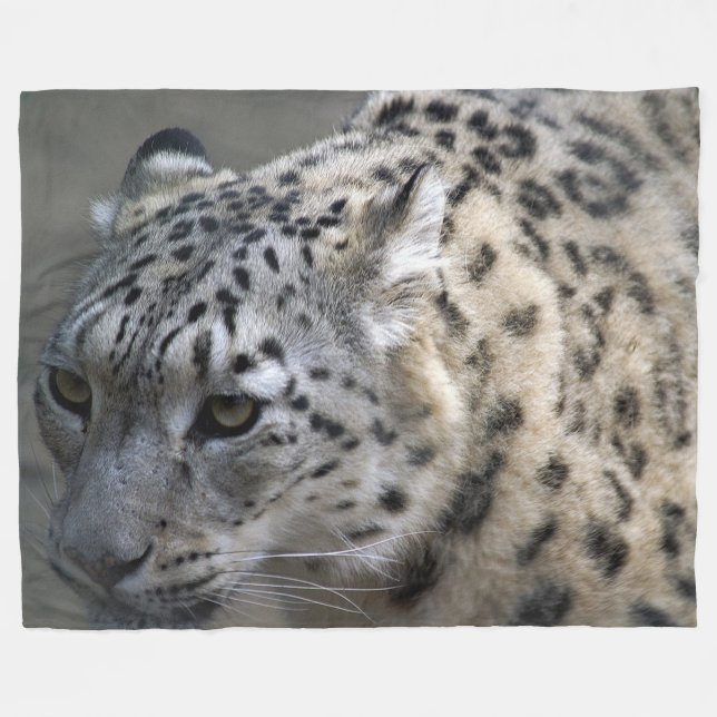 Snow Leopard Fleece Blanket, Large Blanket (Front (Horizontal))