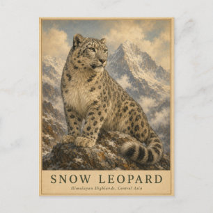 Snow Leopard Himalayan VINTAGE Postcard