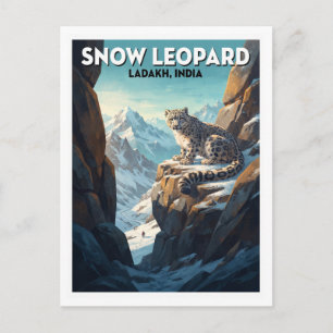 Snow Leopard, Ladakh Leh India Postcard
