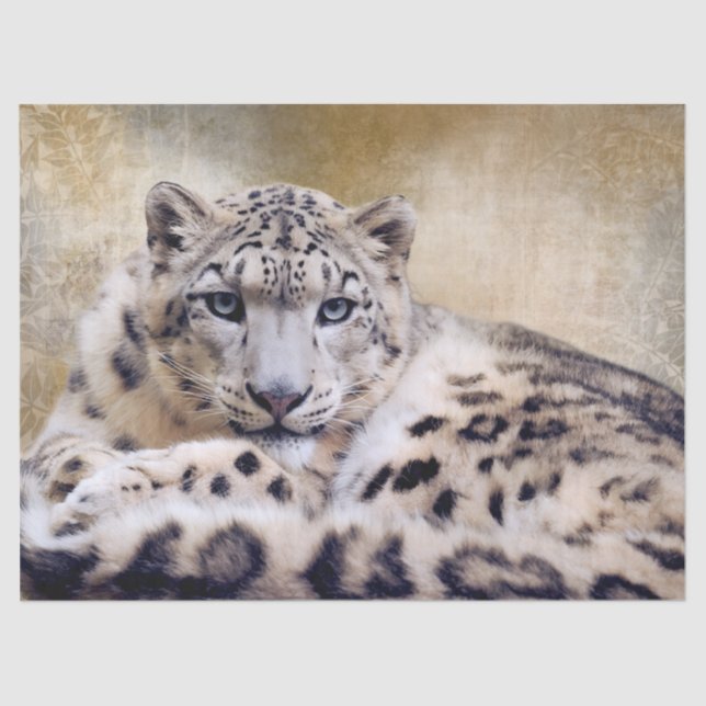 Snow Leopard Lying Down Tissue Paper (Front)