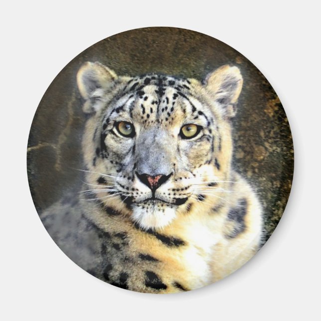 Snow Leopard Magnet (Front)