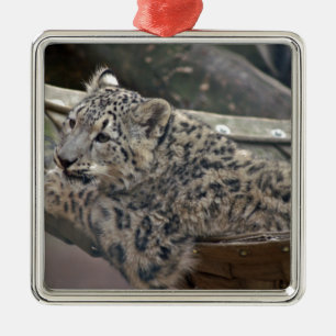 Snow Leopard Metal Tree Decoration