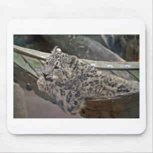 Snow Leopard Mouse Pad