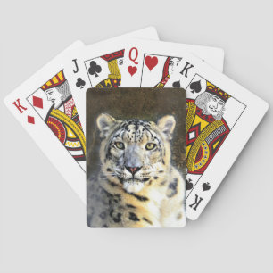 Snow Leopard Playing Cards