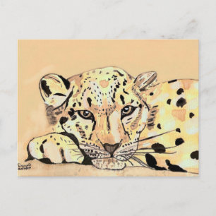 snow leopard postcard