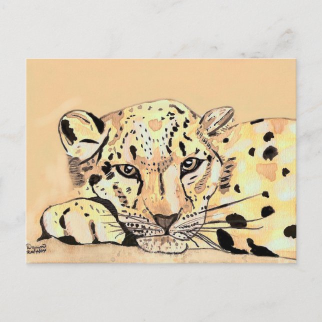 snow leopard postcard (Front)