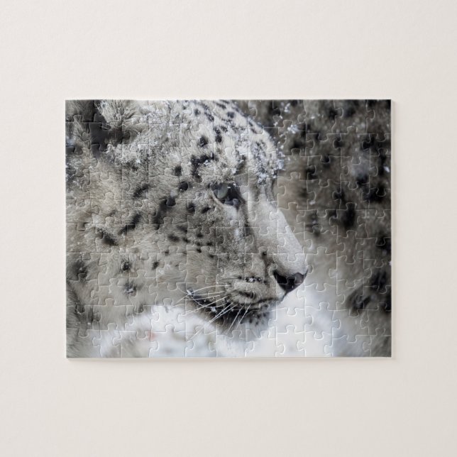 Snow Leopard Profile in Snow Jigsaw Puzzle (Horizontal)