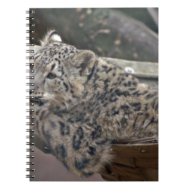 Snow Leopard Spiral Notebook (Front)