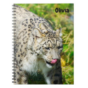 Snow Leopard Spiral notebook