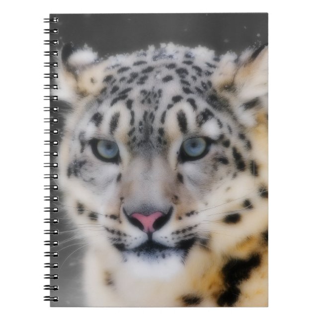Snow Leopard Spiral Notebook (Front)