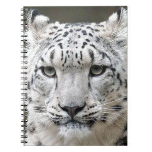 Snow Leopard Spiral Notebook