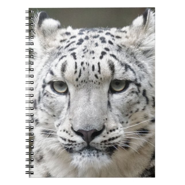 Snow Leopard Spiral Notebook (Front)