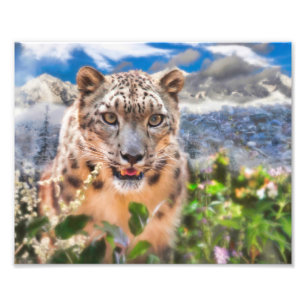 SNOW LEOPARD SPRINGTIME FLOWERS PHOTO PRINT