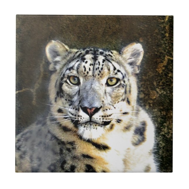 Snow Leopard Tile (Front)