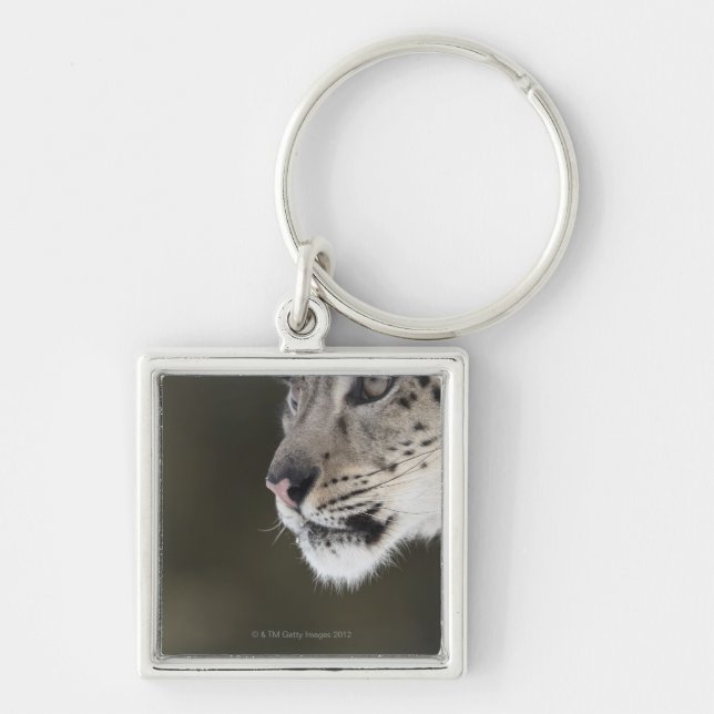 Snow leopard (Uncia uncia) Key Ring (Front)