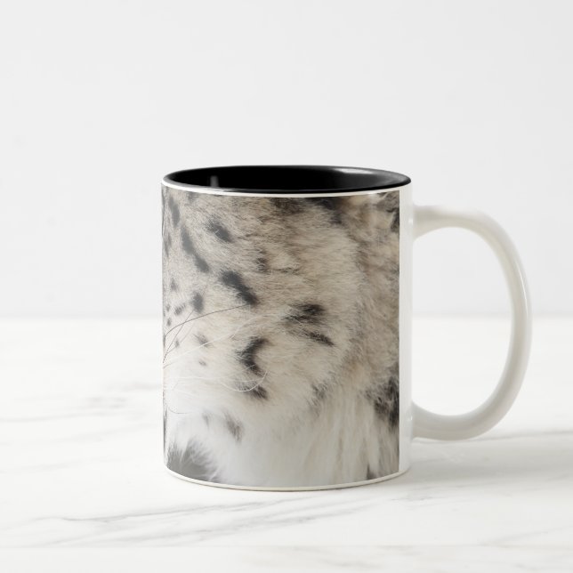 Snow leopard (Uncia uncia) Two-Tone Coffee Mug (Right)