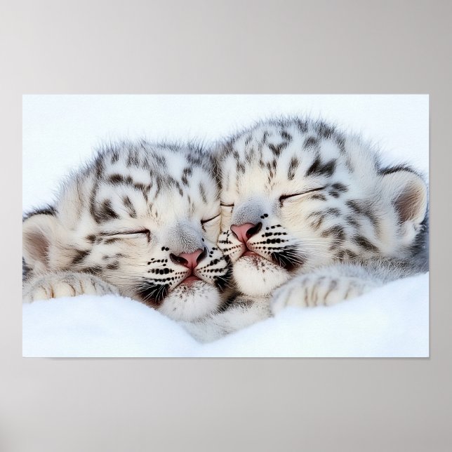 Snow Leopard Wild Animal Natural Environment Poster (Front)