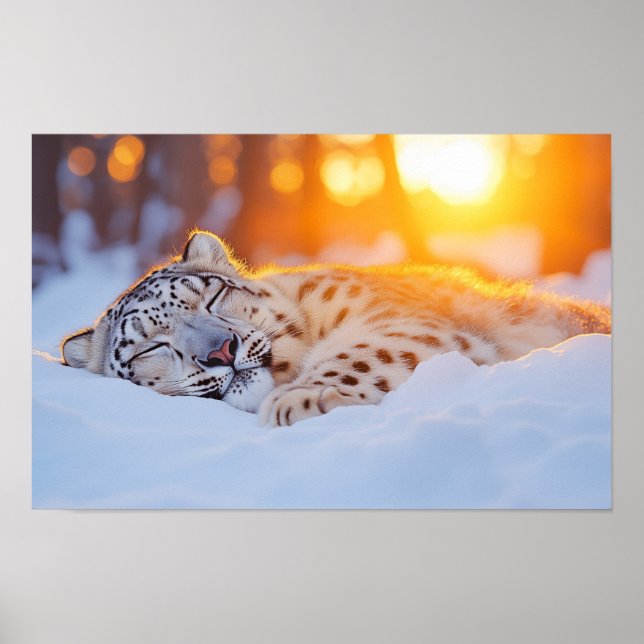 Snow Leopard Wild Animal Natural Environment Poster (Front)