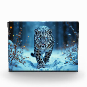 Snow leopard winter majestic blue-eyed predator photo block