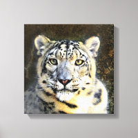 Snow Leopard Wrapped Canvas