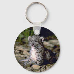 Snow leopard, young cub key ring